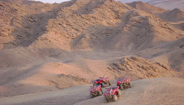 Motor Safari
